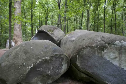 An image of the massive boulders that make up the rock shelter.