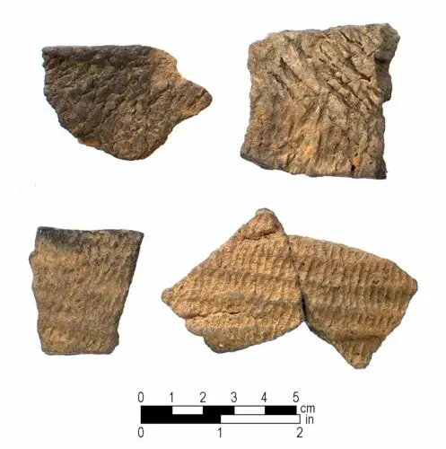 An image of potsherds found in North Carolina.