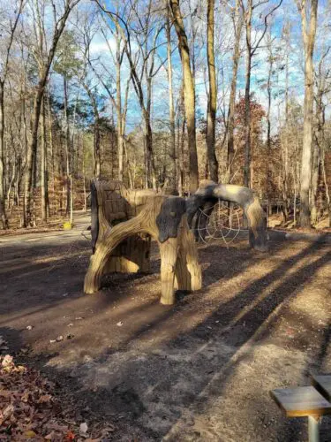 An image of a playground at the park.