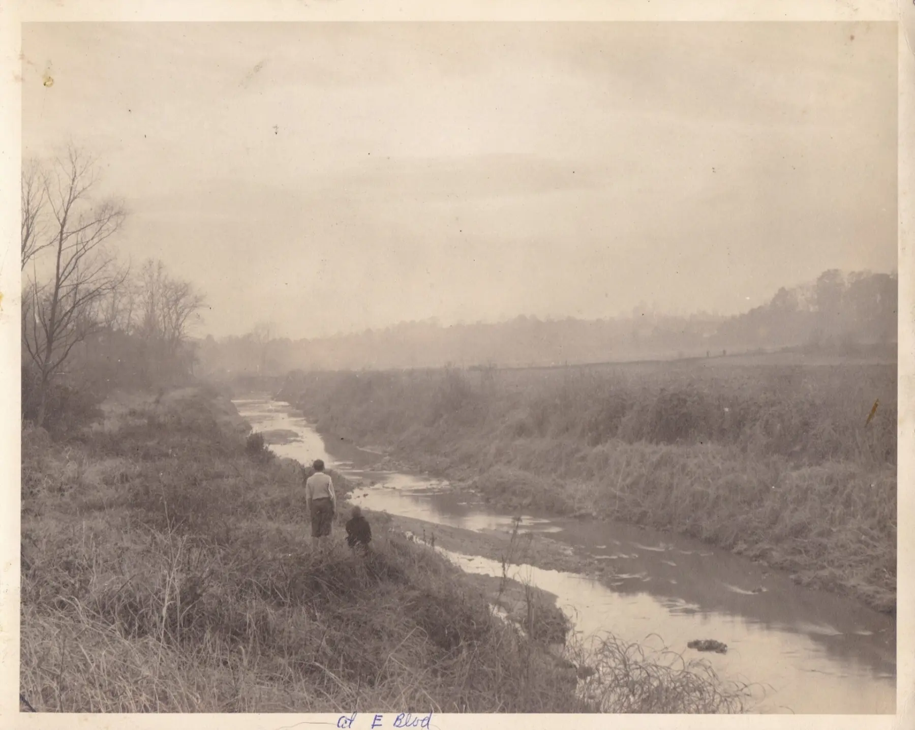 Freedom Park before development at East Blvd by William Hoke "Bill" Sumner,  Levine Museum of the New South Collections